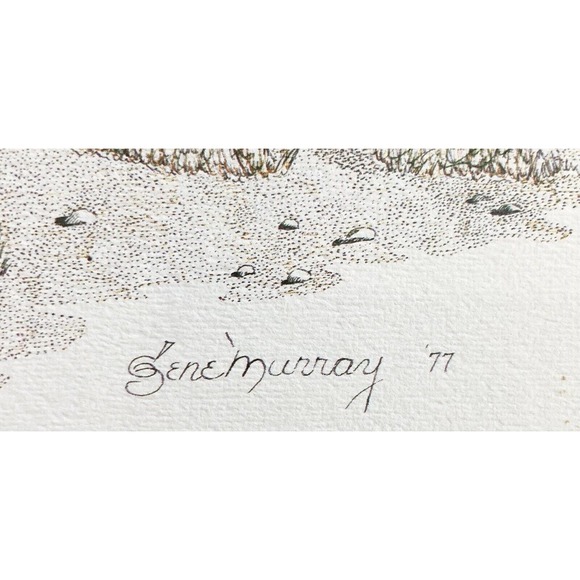 GENE MURRAY, “Quails” Lithograph Signed 22”X18” Print, 1977 305/700 - Picture 5 of 7